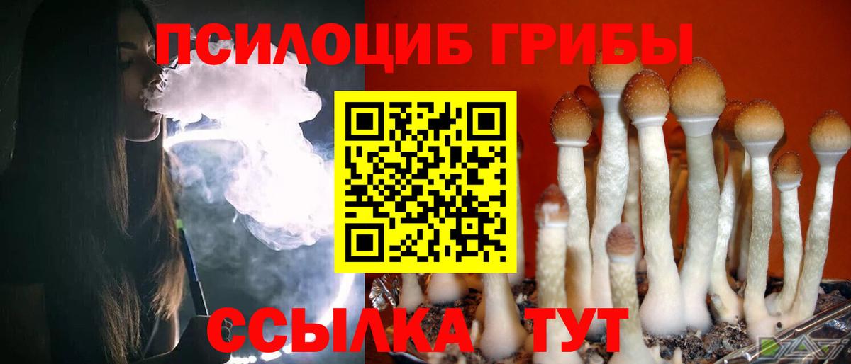 Лыткарино  Псилоцибиновые грибы прущие грибы  Вход с VPN 